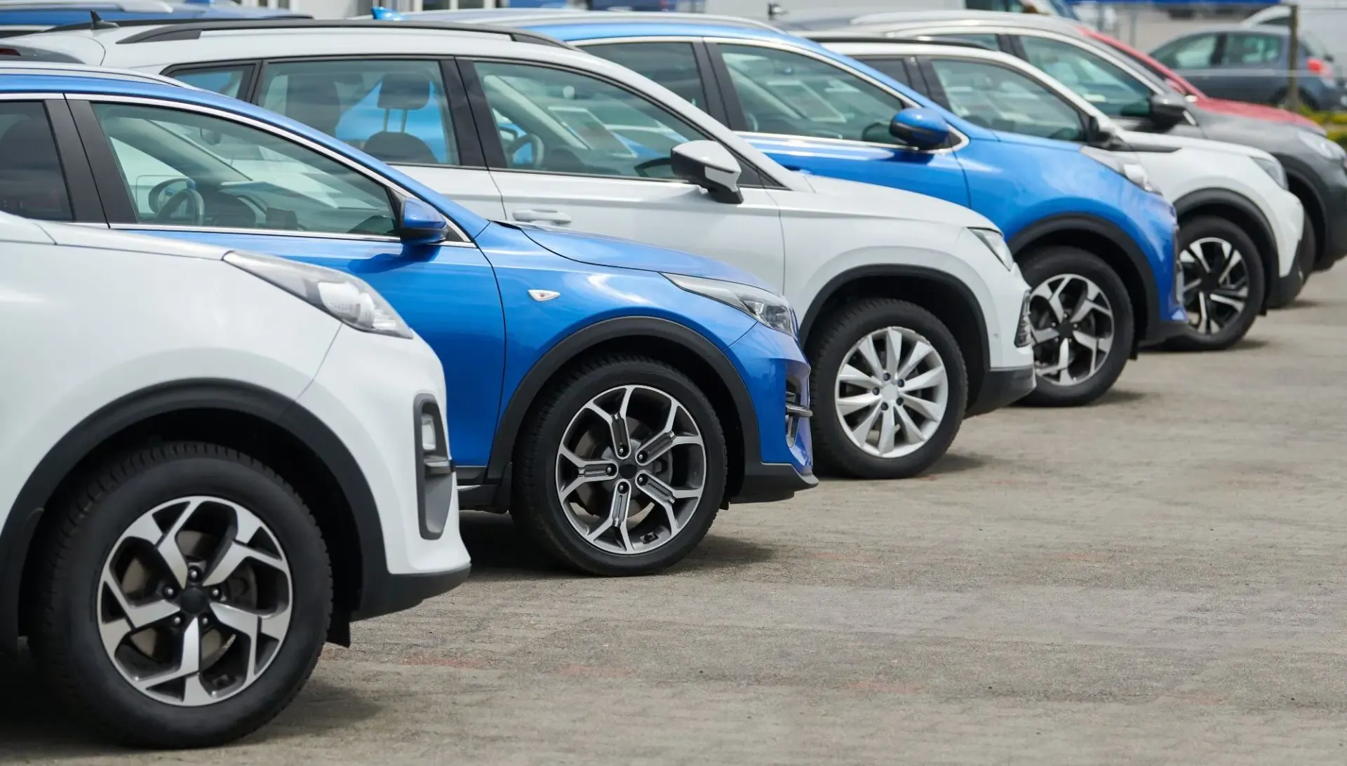 Row of white and blue used cars ready for delivery